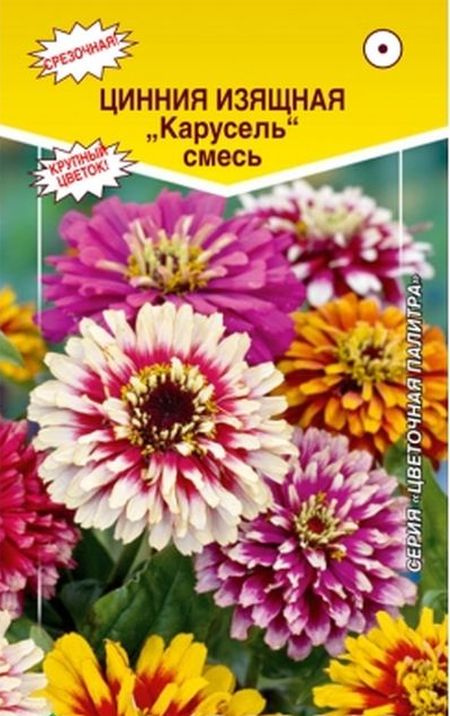 Цинния изящная Карусель, смесь