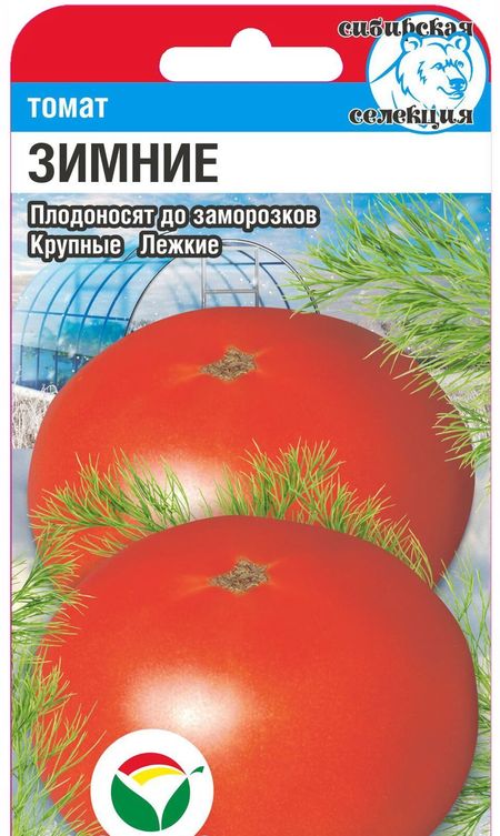 Семена Томат Зимние: описание сорта, фото - купить с доставкой или почтойРоссии