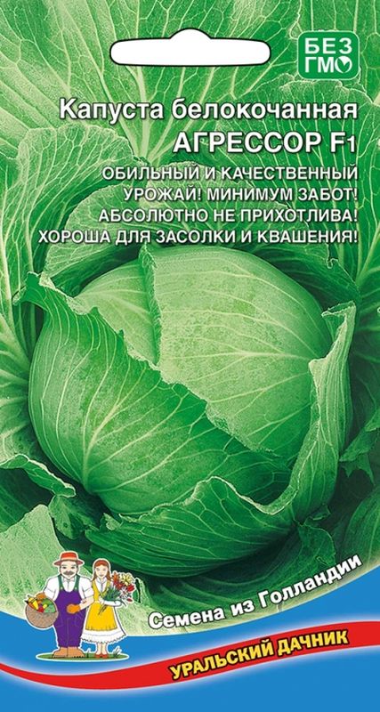 

капуста б/к агрессор f1 семена, капуста б/к агрессор f1 семена купить