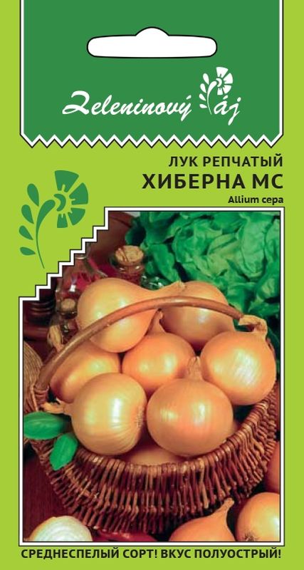 

лук репчатый хиберна мс семена, лук репчатый хиберна мс семена купить