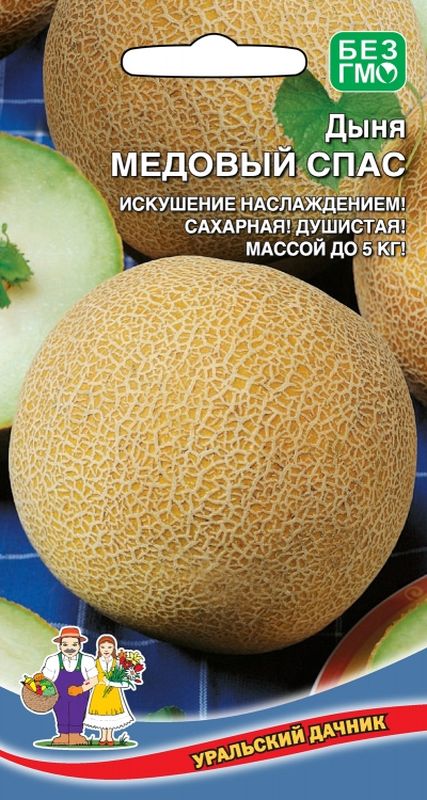 

дыня медовый спас семена, дыня медовый спас семена купить