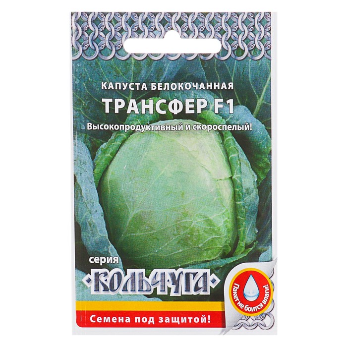 

капуста б/к трансфер f1 "кольчуга new" семена, капуста б/к трансфер f1 "кольчуга new" семена купить