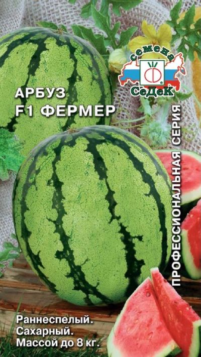 Семена Арбуз F1 Фермер®: описание сорта, фото - купить с доставкой илипочтой России