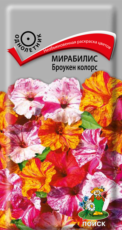 Мирабилис Броукен колорс