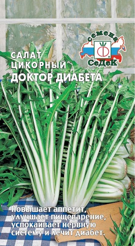 

салат доктор диабета (цикорный) семена, салат доктор диабета (цикорный) семена купить