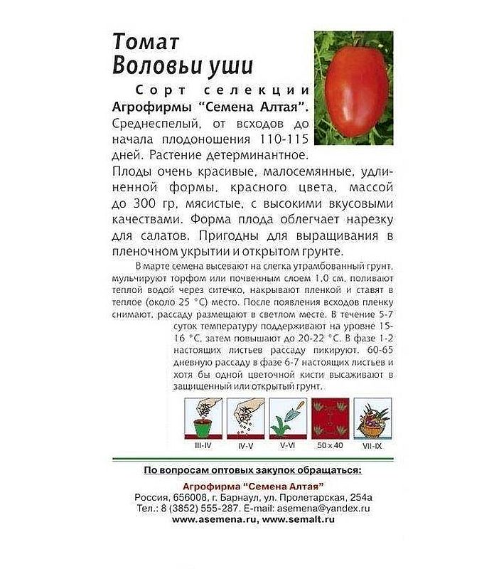 Томат воловьи уши характеристика и отзывы