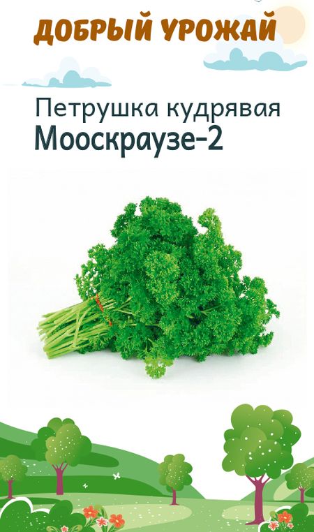 Петрушка кудрявая Мооскраузе