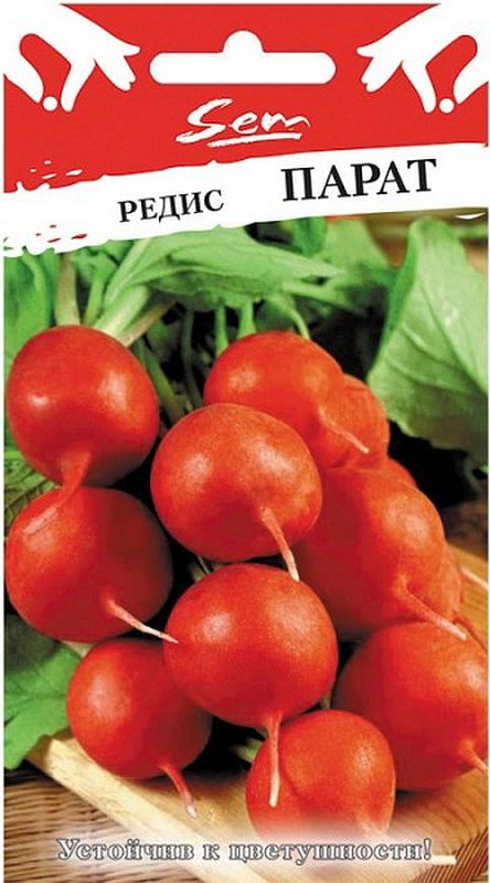 

редис парат семена, редис парат семена купить