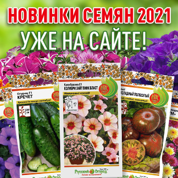 семена новинки. профессиональные семена. семена партнёр видео на ютубе. семена партнер каталог 2023. каталог семян 2022.