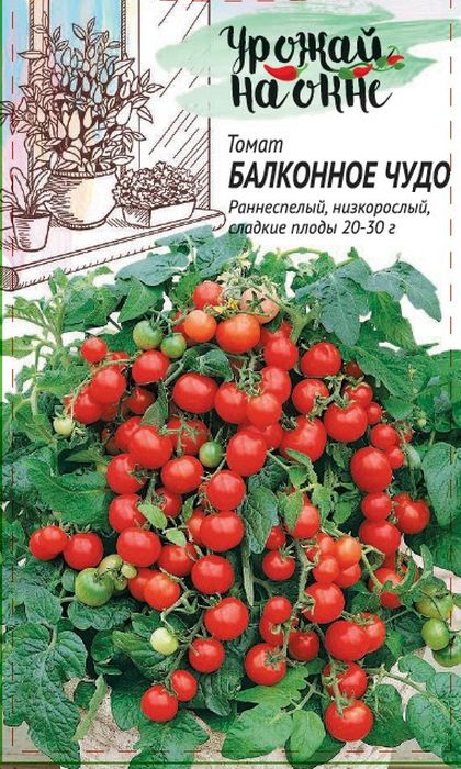 Томат Балконное чудо серия Урожай на окне