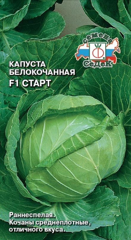 

капуста б/к f1 старт семена, капуста б/к f1 старт семена купить
