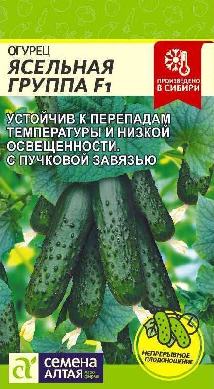 

огурец ясельная группа f1 семена, огурец ясельная группа f1 семена купить