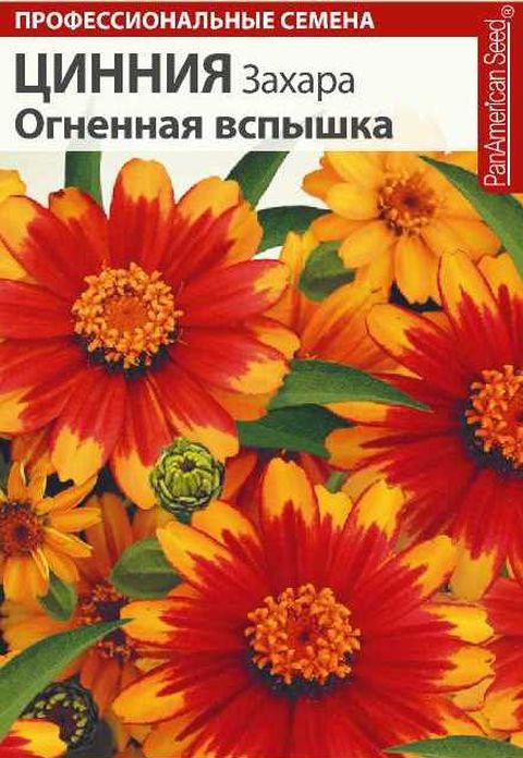 

цинния захара огненная вспышка семена, цинния захара огненная вспышка семена купить