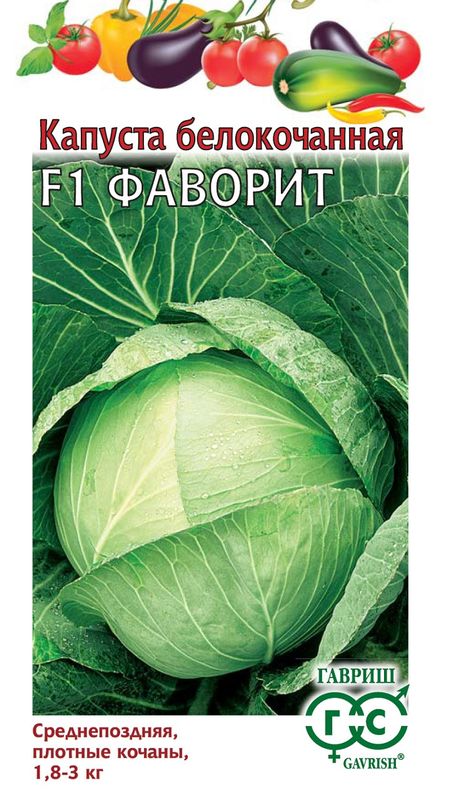 

капуста б/к f1 фаворит для квашения семена, капуста б/к f1 фаворит для квашения семена купить