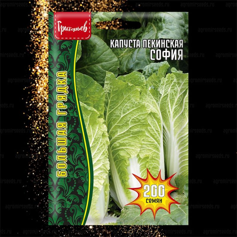 

капуста пекинская софия семена, капуста пекинская софия семена купить