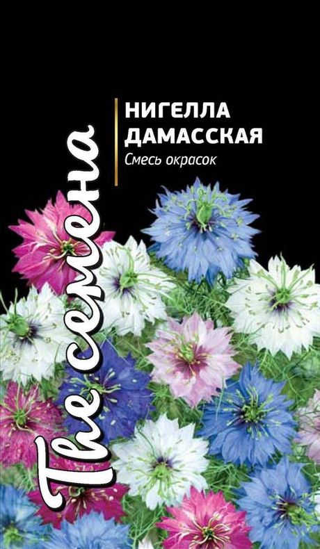 Нигелла дамасская смесь окрасок