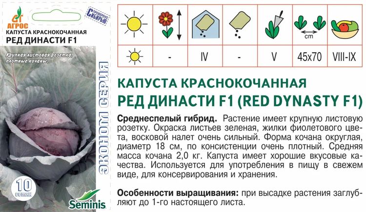 Капуста к/к Ред Династи F1