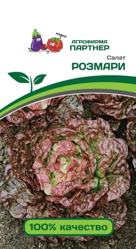 

салат кочанный розмари семена, салат кочанный розмари семена купить