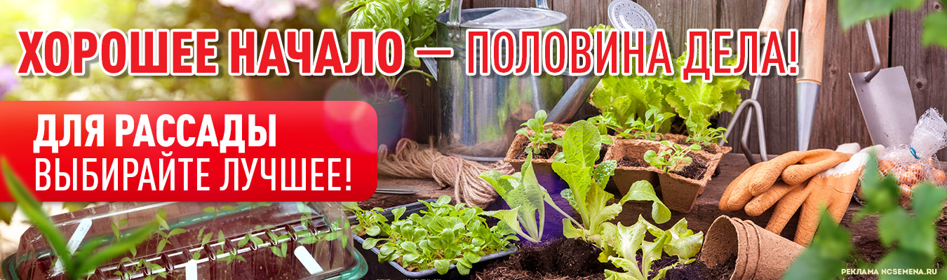Урожайный сайт ncsemena ru как очищать организм от марихуаны