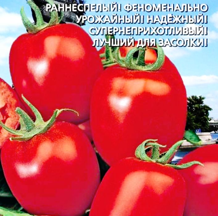 

томат петровский семена, томат петровский семена купить