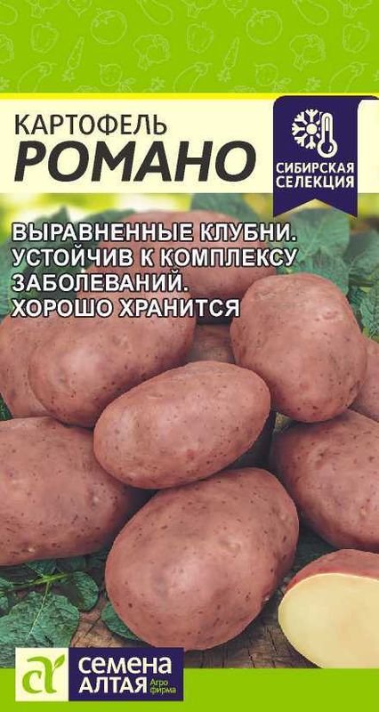 

картофель романо семена, картофель романо семена купить