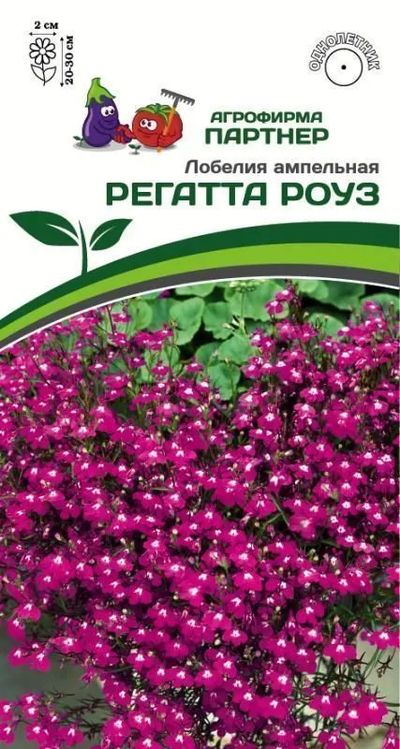 

лобелия ампельная регатта роуз семена, лобелия ампельная регатта роуз семена купить