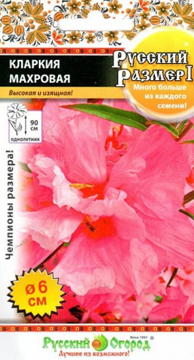 Кларкия махровая Русский Размер®