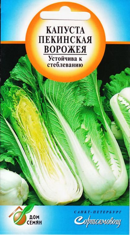 Капуста пекинская Ворожея