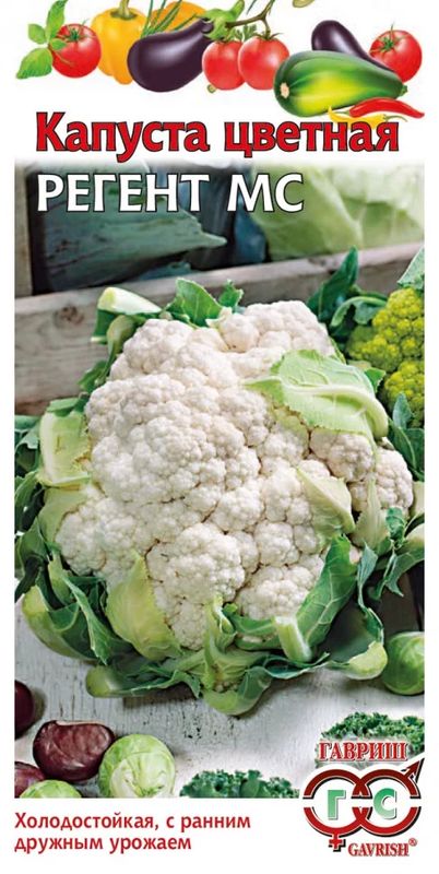 

капуста цветная регент мс семена, капуста цветная регент мс семена купить