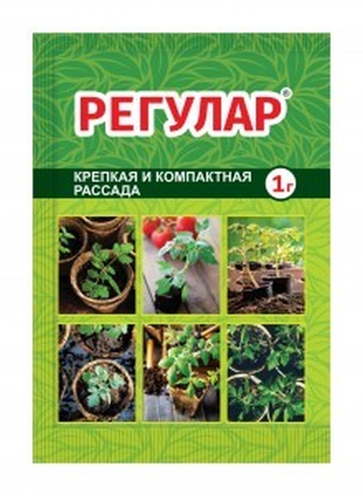 

Регулар, 1г