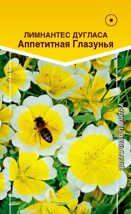 

лимнантес дугласа аппетитная глазунья семена, лимнантес дугласа аппетитная глазунья семена купить