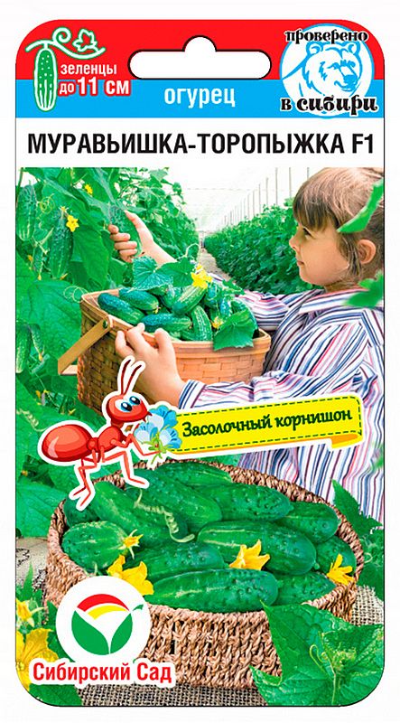 

огурец муравьишка-торопыжка семена, огурец муравьишка-торопыжка семена купить