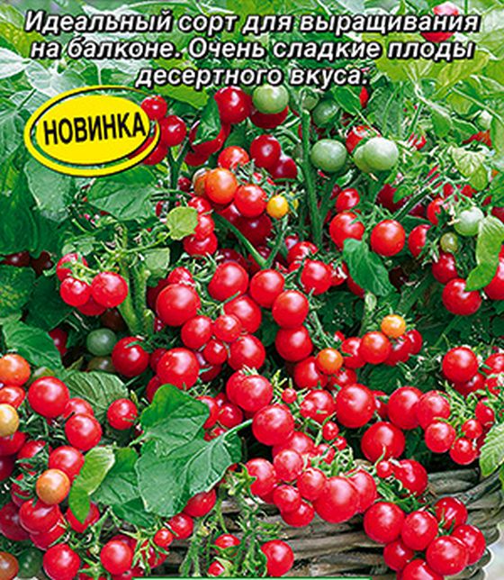 Томат Сахарная гроздь: описание сорта, характеристики, выращивание и болезни