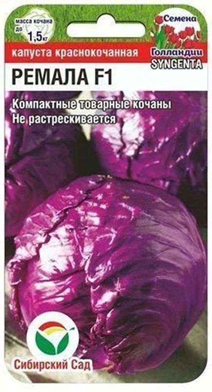 

капуста к/к ремала f1 семена, капуста к/к ремала f1 семена купить