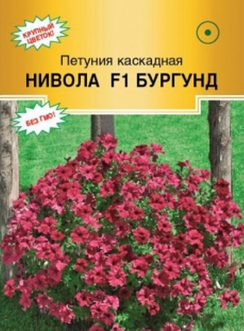 

петуния каскадная нивола бургунд f1 семена, петуния каскадная нивола бургунд f1 семена купить