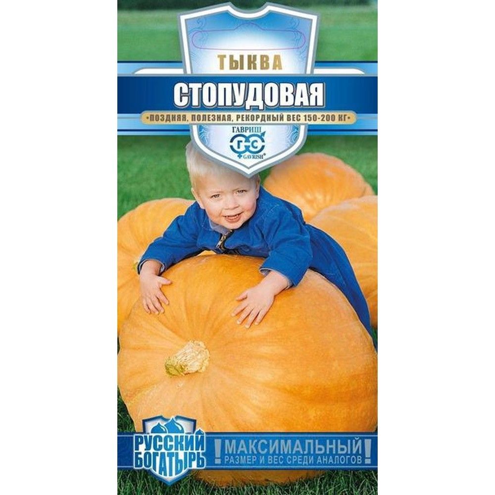 

тыква стопудовая серия русский богатырь семена, тыква стопудовая серия русский богатырь семена купить