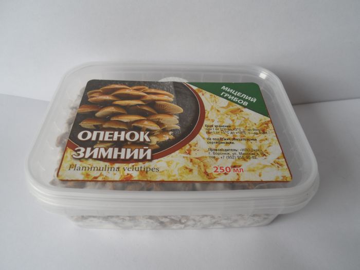 Опенок зимний, 250 мл