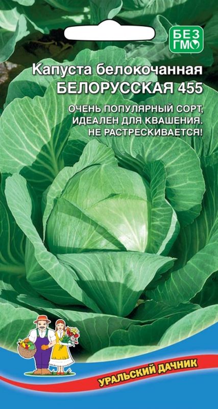 

капуста б/к белорусская 455 семена, капуста б/к белорусская 455 семена купить