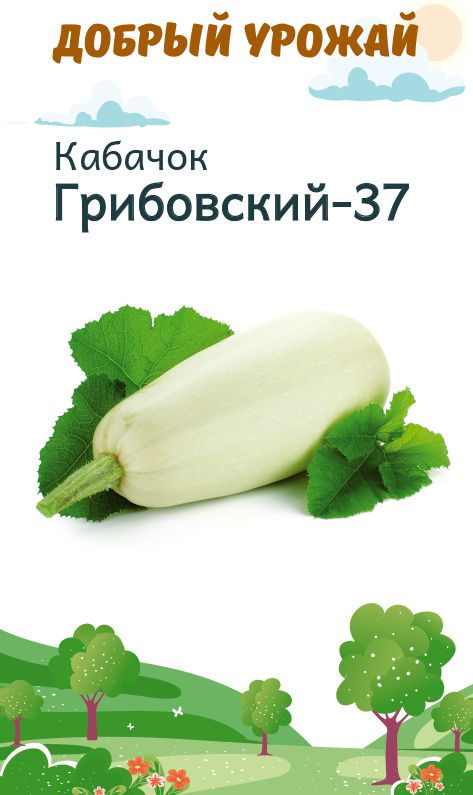 

кабачок грибовский-37 семена, кабачок грибовский-37 семена купить