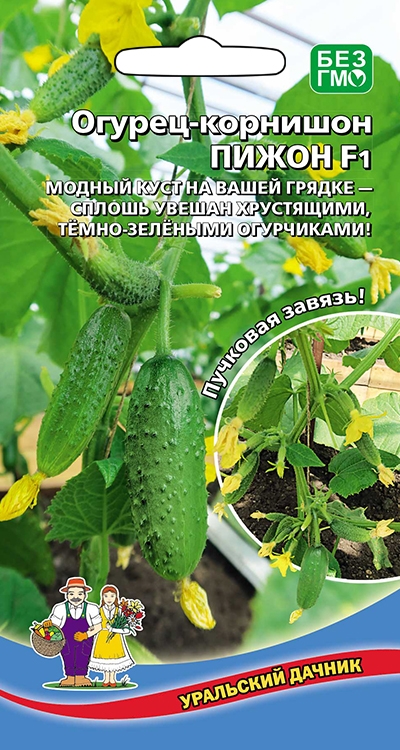 Огурец Пижон