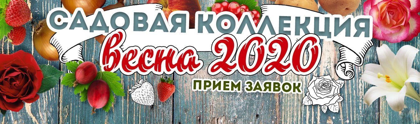 Интернет Магазин Фирмы Аэлита Официальный Сайт Интернет Магазин Фирмы Аэлита Официальный Сайт
