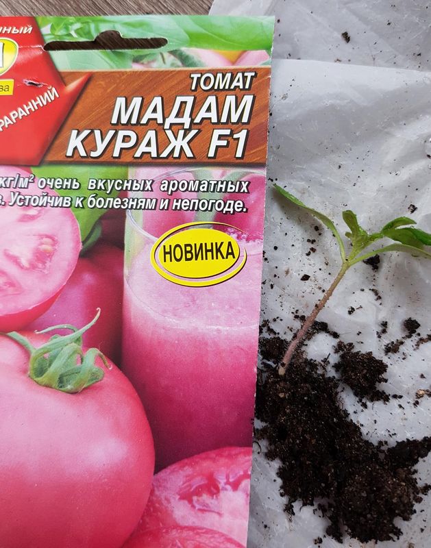 Кураж томат описание сорта фото Семена Томат F1 Мадам Кураж: описание сорта, фото - купить с доставкой или почто - Товар на картинке можно купить.