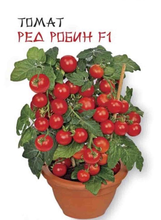 Томат Ред Робин F1
