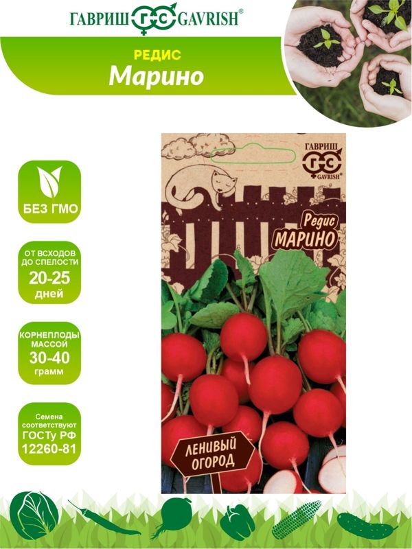 

редис марино семена, редис марино семена купить