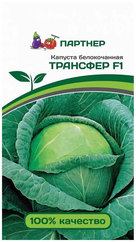 

капуста б/к трансфер f1 семена, капуста б/к трансфер f1 семена купить