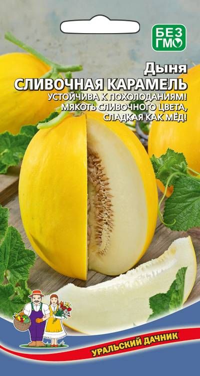 

дыня сливочная карамель семена, дыня сливочная карамель семена купить