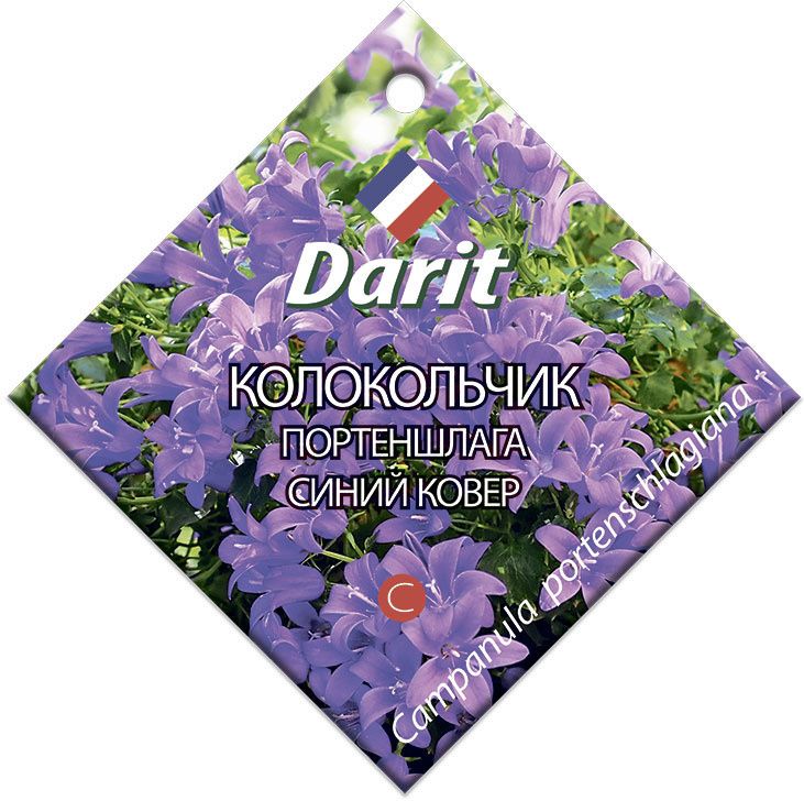 Колокольчик Портеншлага Синий ковер