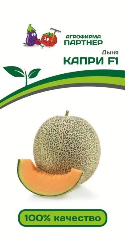 Купить семена дыни - широкое разнообразие вкусных сортов, доставка по РФ