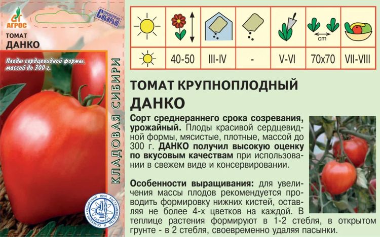 Томат данко урожайность. Томат сорт Данко. Семена томат Данко. Данко помидор помидор описание. Среднерослыюююютомат Данко.