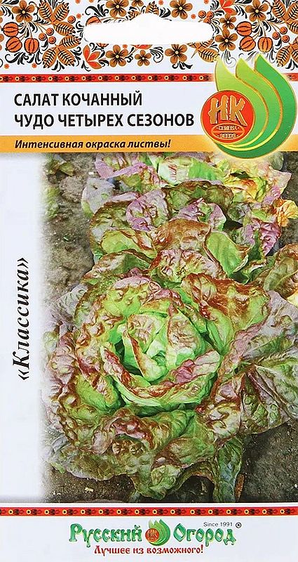 

салат кочанный чудо четырех сезонов семена, салат кочанный чудо четырех сезонов семена купить